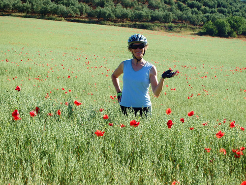 Terry in a Grass Field with Wild Poppies.